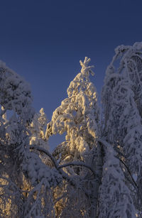 Snow covered landscape against clear sky during sunrise near a ski resort in ludvika sweden