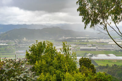 High angle view of plants growing on landscape against sky