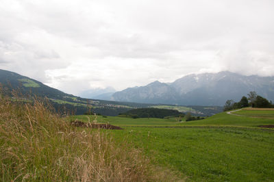 Scenic view of field against sky