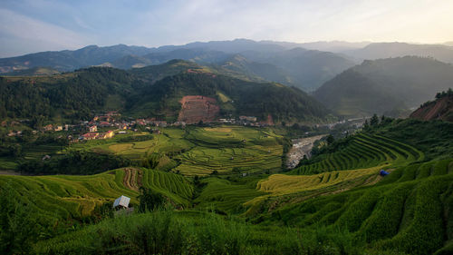 Scenic view of agricultural field and mountains against sky