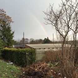 Surface level of rainbow over countryside landscape