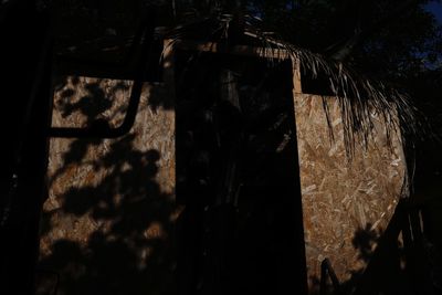 Close-up of damaged tree trunk in the dark