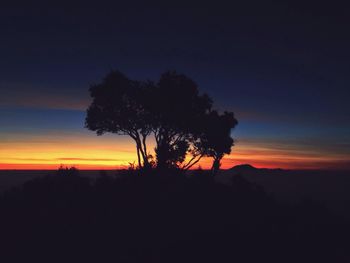 Silhouette of trees at sunset