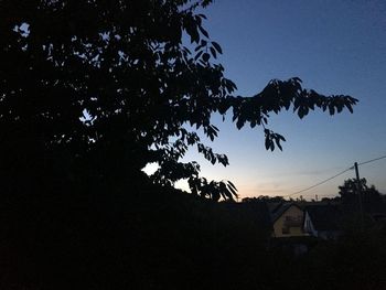 Silhouette of trees and house against sky