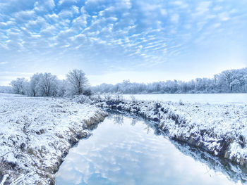 Snow covered plants against sky