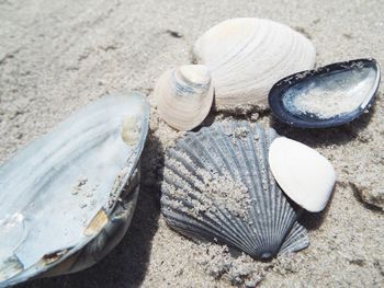 High angle view of shoes on sand