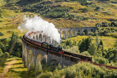 Panoramic view of train amidst trees