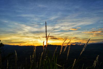 Silhouette landscape against sunset sky