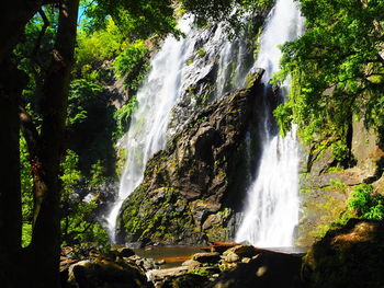 Scenic view of waterfall in forest