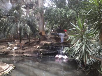 View of waterfall in park