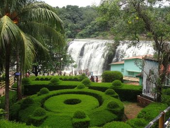 Pond in park