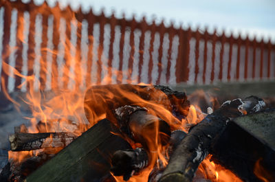 Close-up of campfire on field
