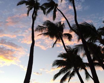Low angle view of silhouette palm trees against sky during sunset