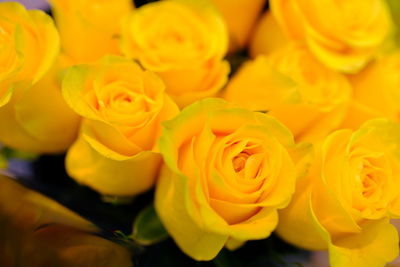 Close-up of yellow rose bouquet