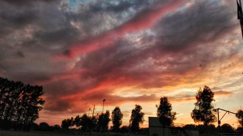 Low angle view of silhouette trees against dramatic sky