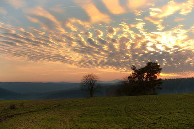 Scenic view of field against sky during sunset