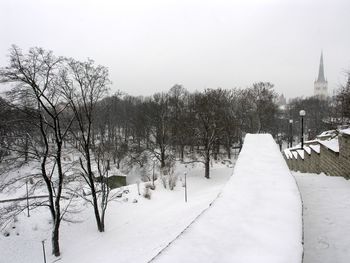 Snow covered plants and trees against sky