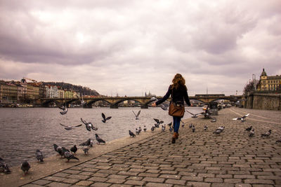 Full length of man on birds in city against sky