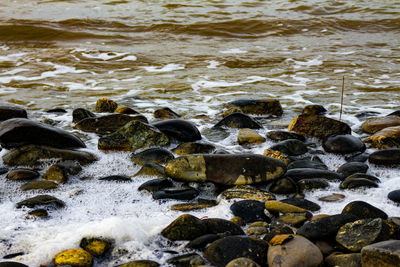 View of rocks in sea