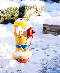 Close-up of ice cream cone on land