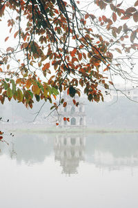 Scenic view of lake by trees during autumn