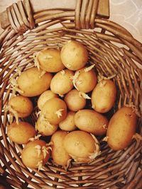 High angle view of fruits in basket