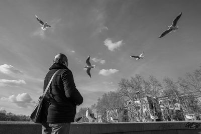 Low angle view of seagulls flying against sky