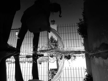 Reflection of trees on swimming pool against sky