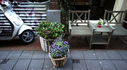 High angle view of plants in wicker pot by chair at sidewalk