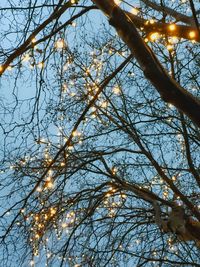 Low angle view of bare trees against sky
