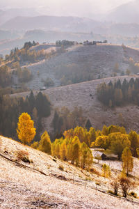 High angle view of trees on landscape against sky