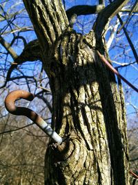 Low angle view of tree against sky