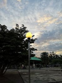 Street lights by trees in city against sky