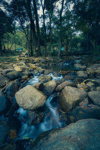 Stream flowing through rocks in forest