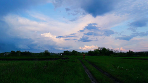 Scenic view of agricultural field against sky at sunset