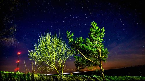 Low angle view of tree against star field