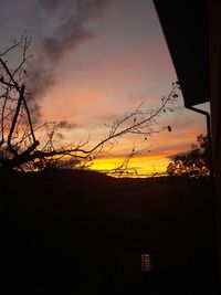 Silhouette trees on field against orange sky