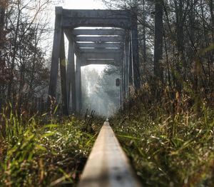 Footbridge in forest