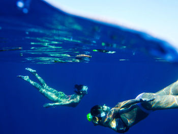 Jellyfish swimming in sea
