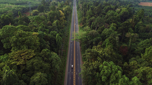 High angle view of road amidst trees in forest