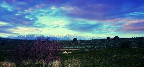 Scenic view of landscape against cloudy sky