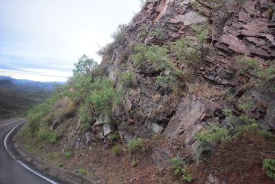 Road amidst trees and mountains against sky