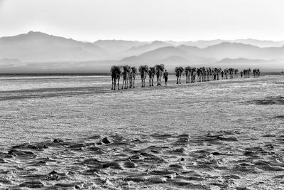 Group of people on the beach