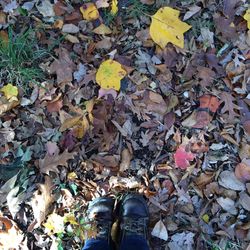 Low section of person standing in autumn leaves