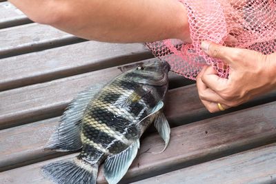 Midsection of man holding fish