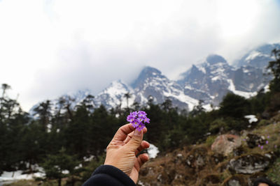 Cropped hand of woman holding flowers