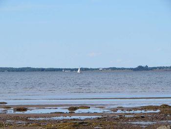 Sailboat sailing on sea against sky