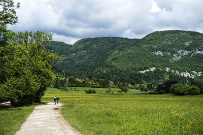 Scenic view of landscape against sky