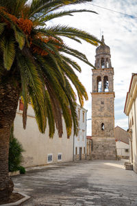 Palm trees and buildings against sky