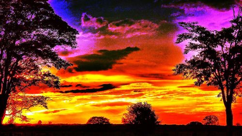 Silhouette of tree against dramatic sky